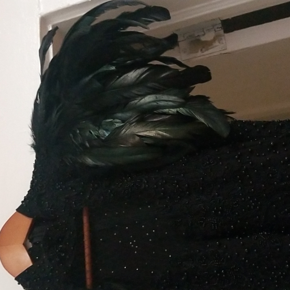 Floor length gothic gown with feathers